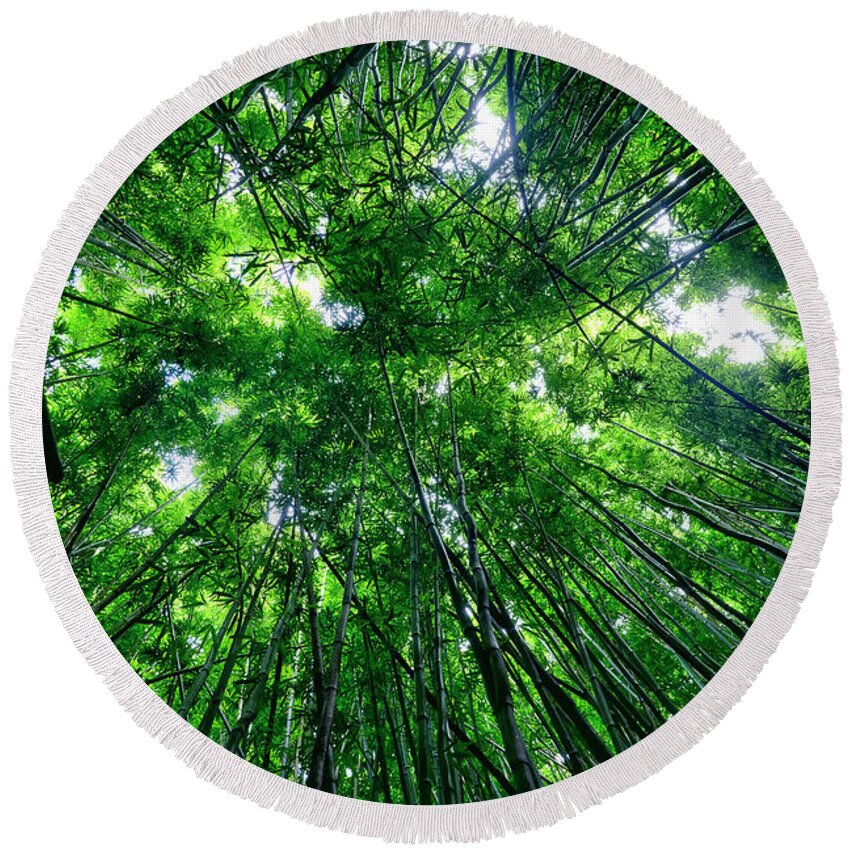 Bamboo Round Beach Towel featuring the photograph Bamboo Forest by Eddie Yerkish