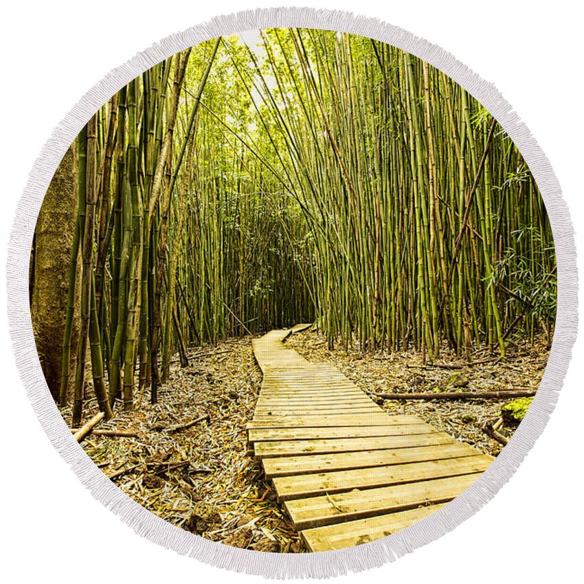 Bamboo Forrest Round Beach Towel featuring the photograph Bamboo Forrest by Josh Bryant