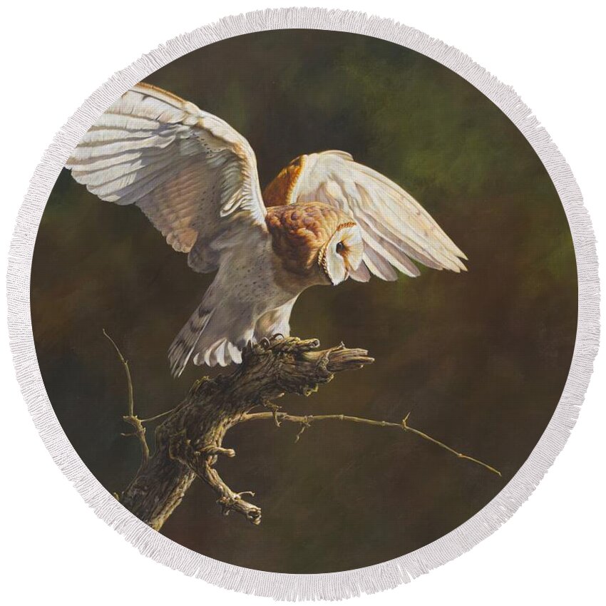 Wildlife Paintings Round Beach Towel featuring the painting Barn Owl by Alan M Hunt