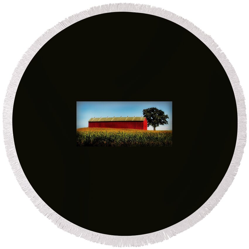 Corn Round Beach Towel featuring the photograph Barn with tree and cornfield. by Julie Dybevik