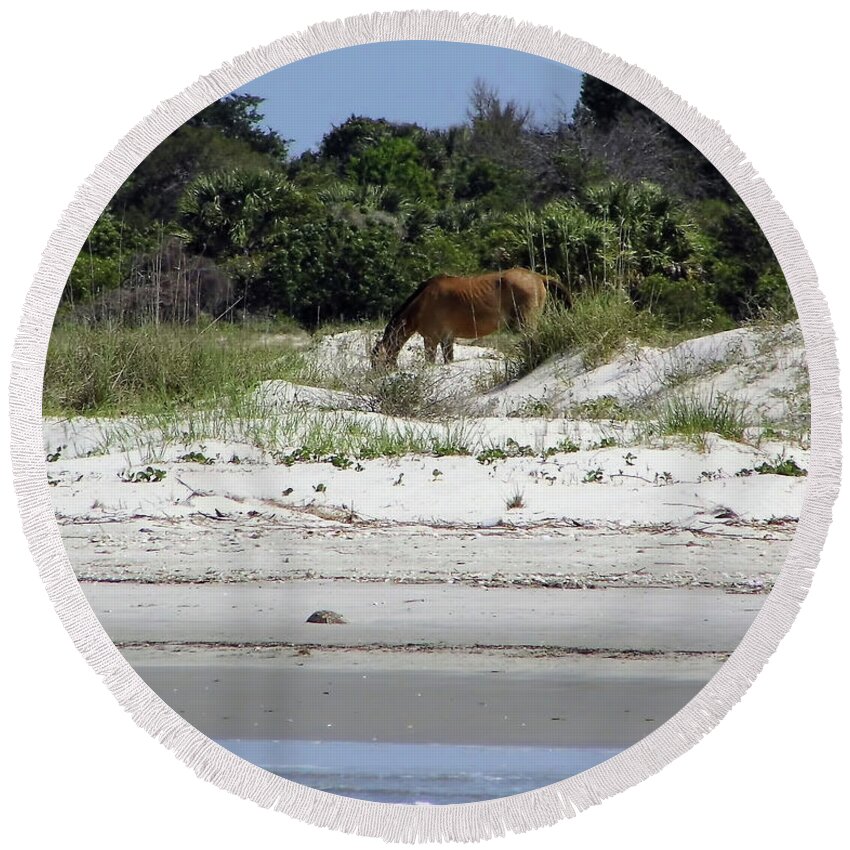 Wild Horse Round Beach Towel featuring the photograph Bay At The Beach by D Hackett