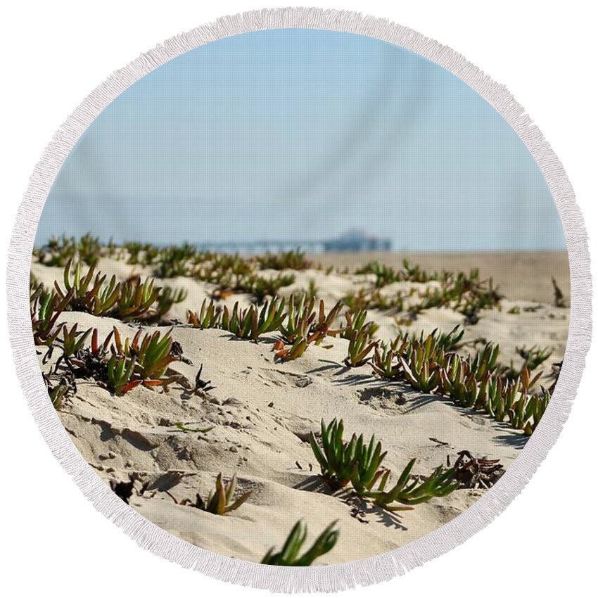 Ice Plant Covered Dune On California's Newport Beach. Round Beach Towel featuring the photograph Beach Dune by Brian Eberly