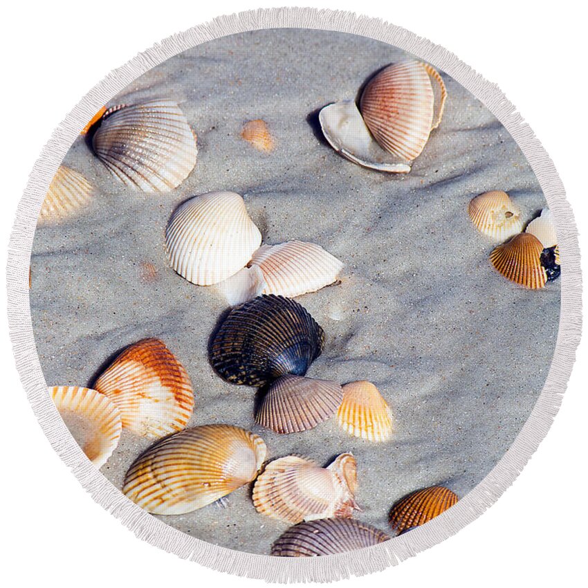 Beach Round Beach Towel featuring the photograph Beach Shells by Kenneth Albin