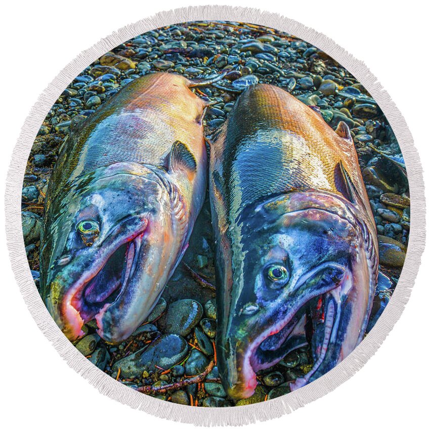Art Round Beach Towel featuring the photograph Beached Coho by Jason Brooks