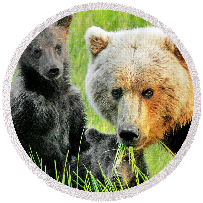 Grizzly Round Beach Towel featuring the photograph Bear Family Portraait by Ted Keller
