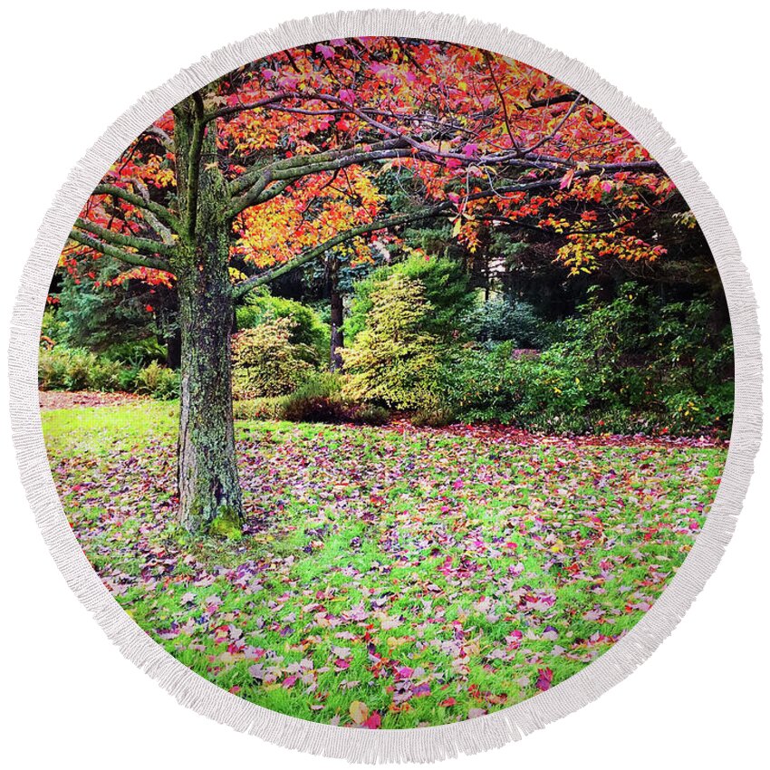 Trees Round Beach Towel featuring the photograph Beautiful autumn landscape full of colors by GoodMood Art