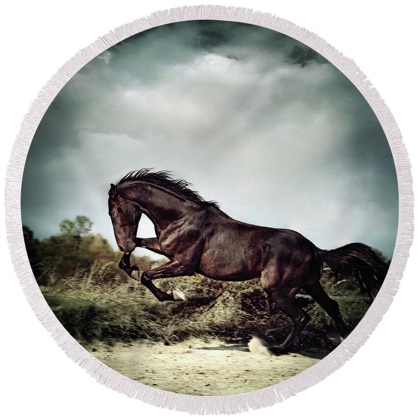 Horse Round Beach Towel featuring the photograph Beautiful black stallion horse running on the stormy sky by Dimitar Hristov
