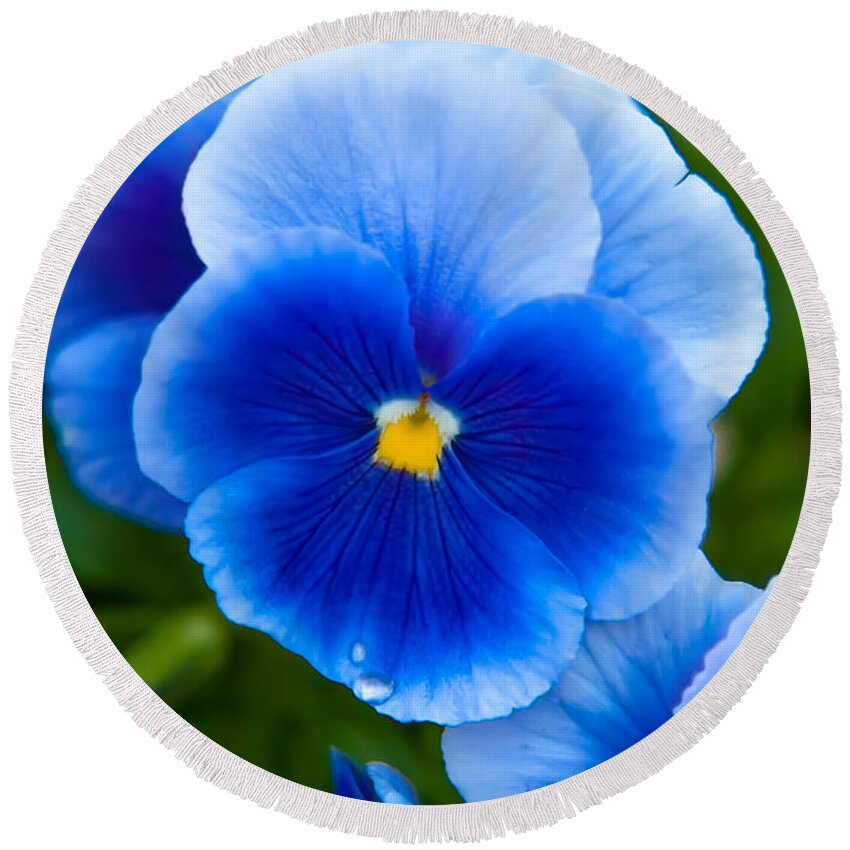 Spring Flowers Round Beach Towel featuring the photograph Beautiful Blues by Az Jackson
