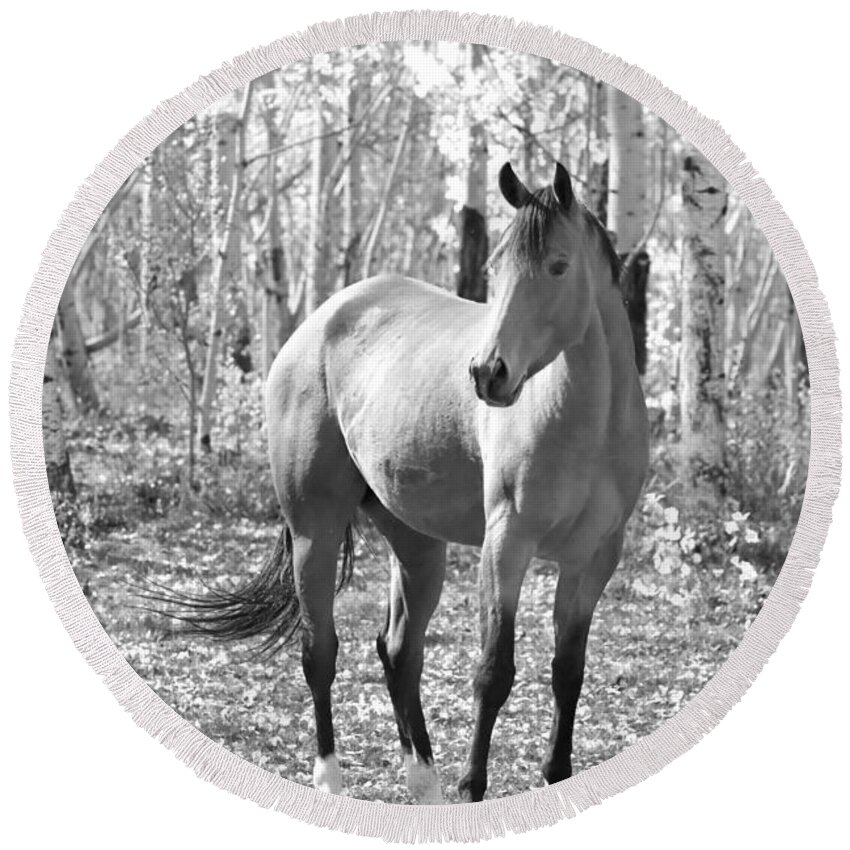 Equine Round Beach Towel featuring the photograph Beautiful Horse in Black and White by James BO Insogna