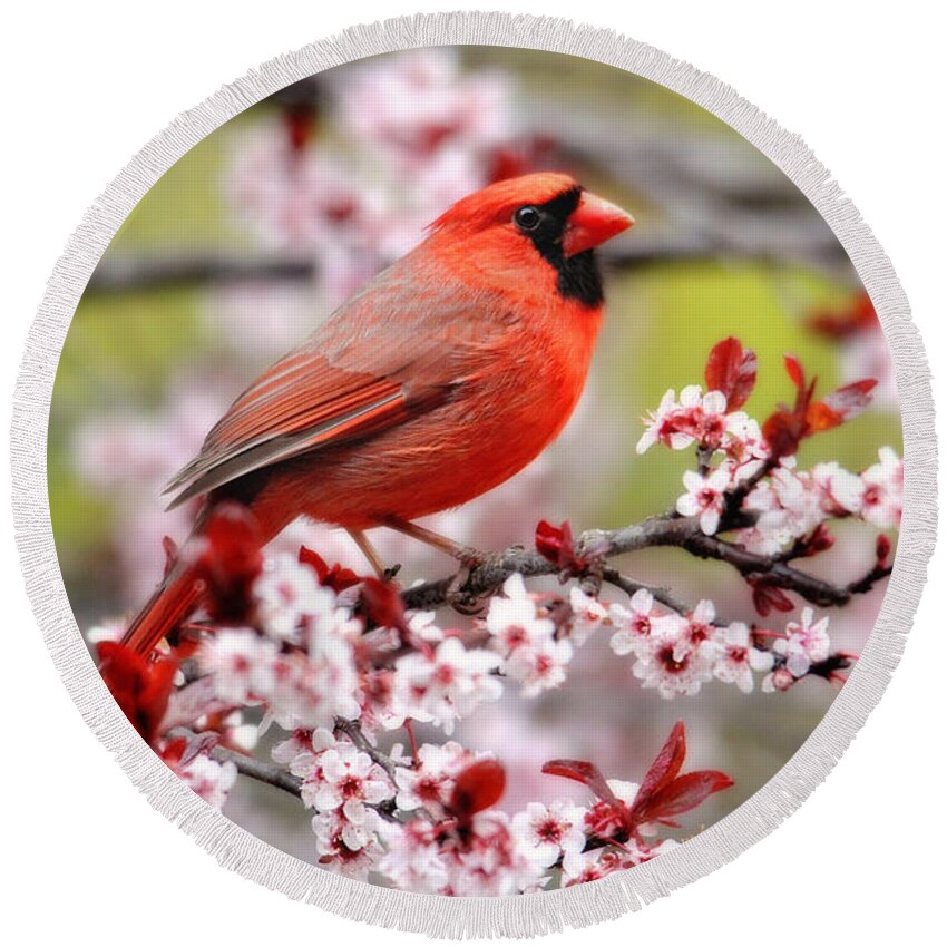 Birds Round Beach Towel featuring the photograph Beautiful Northern Cardinal by Trina Ansel