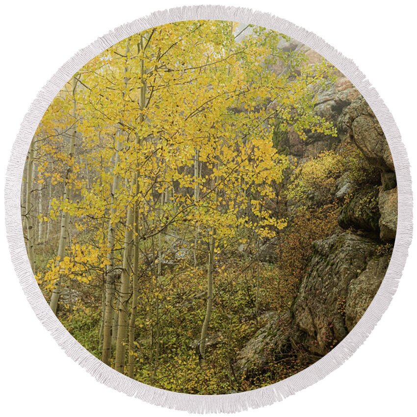 Aspen Round Beach Towel featuring the photograph Beauty and the Beast by James BO Insogna