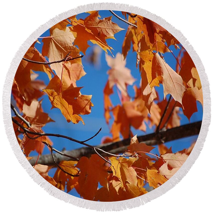 Leaves Round Beach Towel featuring the photograph Beauty in Nature by Robert Meanor
