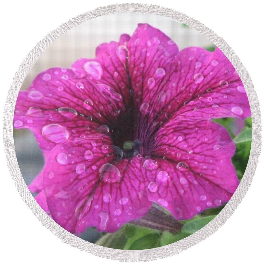 Purple Round Beach Towel featuring the photograph Beauty in Nature by Sharon Duguay