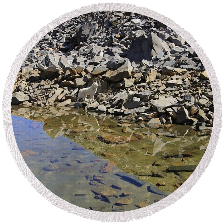 Rock Creek Round Beach Towel featuring the photograph Become One With Nature by Sean Sarsfield