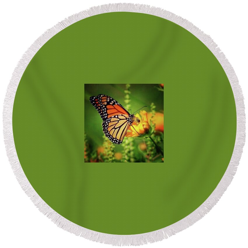  Round Beach Towel featuring the photograph Bee And Butterfly by James Caine