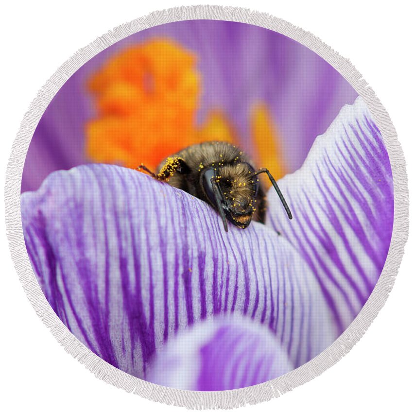 Astoria Round Beach Towel featuring the photograph Bee and Pollen by Robert Potts