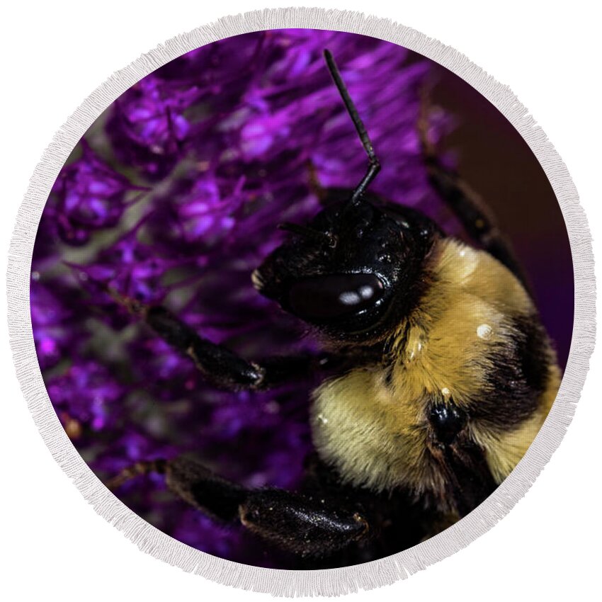 Jay Stockhaus Round Beach Towel featuring the photograph Bee and Purple Flower 2 by Jay Stockhaus