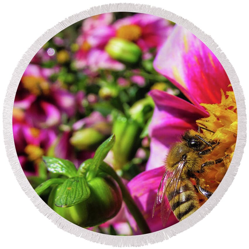 Flower Round Beach Towel featuring the photograph Bee and the Flower by Cesar Vieira