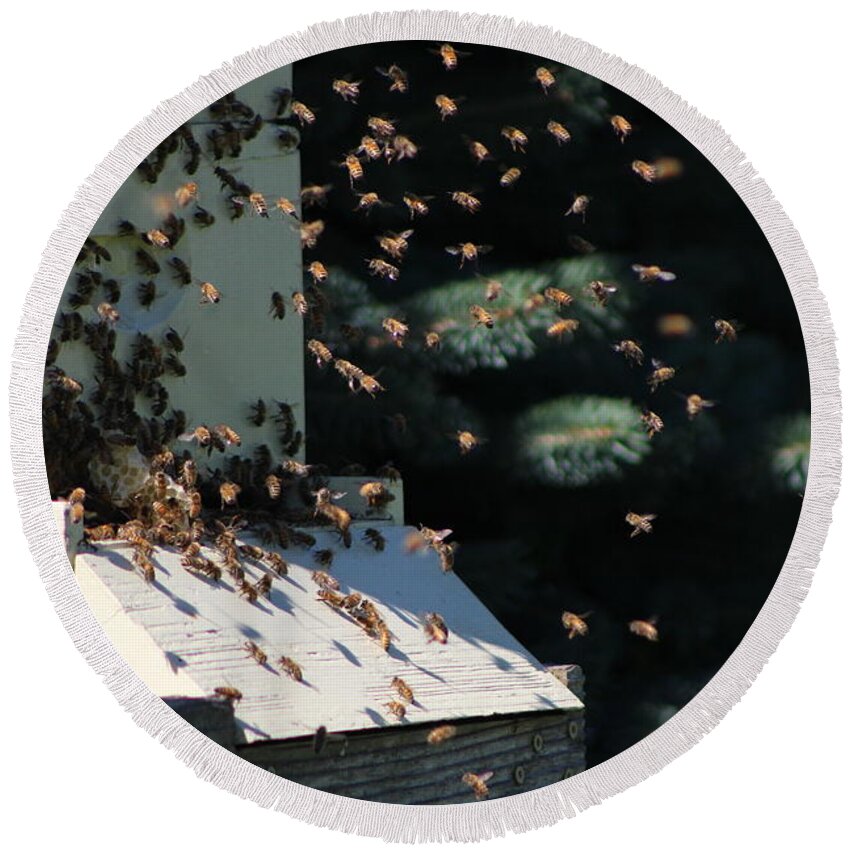 Honey Bee Round Beach Towel featuring the photograph Bee Keepers Hive Chicago Botanical Gardens by Colleen Cornelius