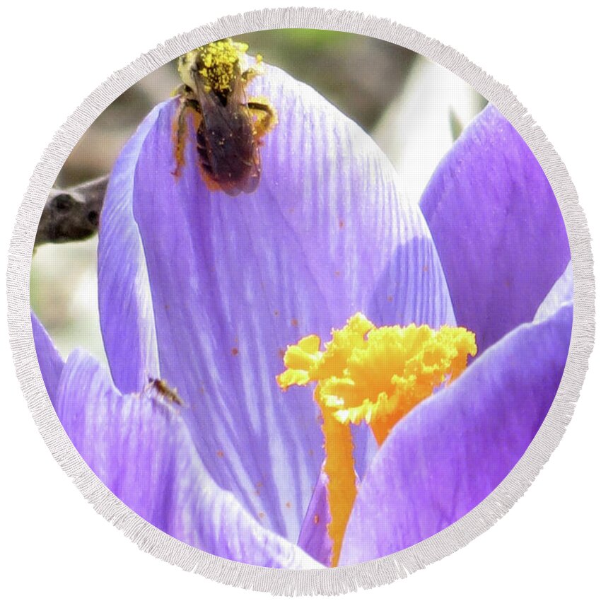 Bee Round Beach Towel featuring the photograph Bee Pollen by Azthet Photography