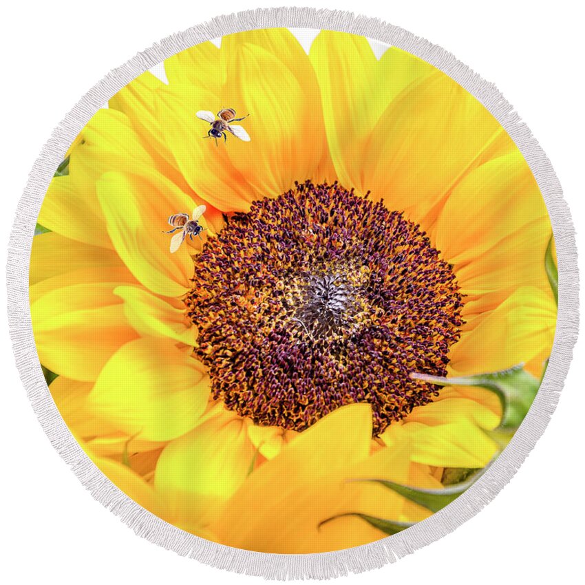 Sunflower Round Beach Towel featuring the photograph Bee-utiful by Joann Long