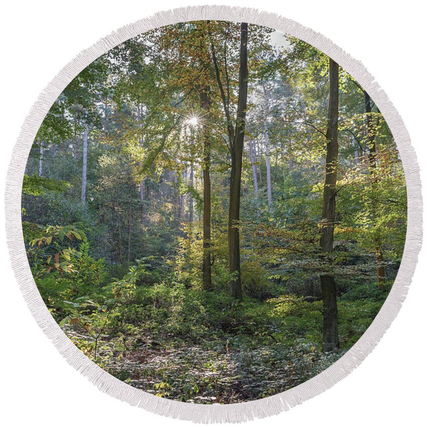 Autumn Round Beach Towel featuring the photograph Beech and Sweet Chestnut Woodland in Autumn by Perry Rodriguez