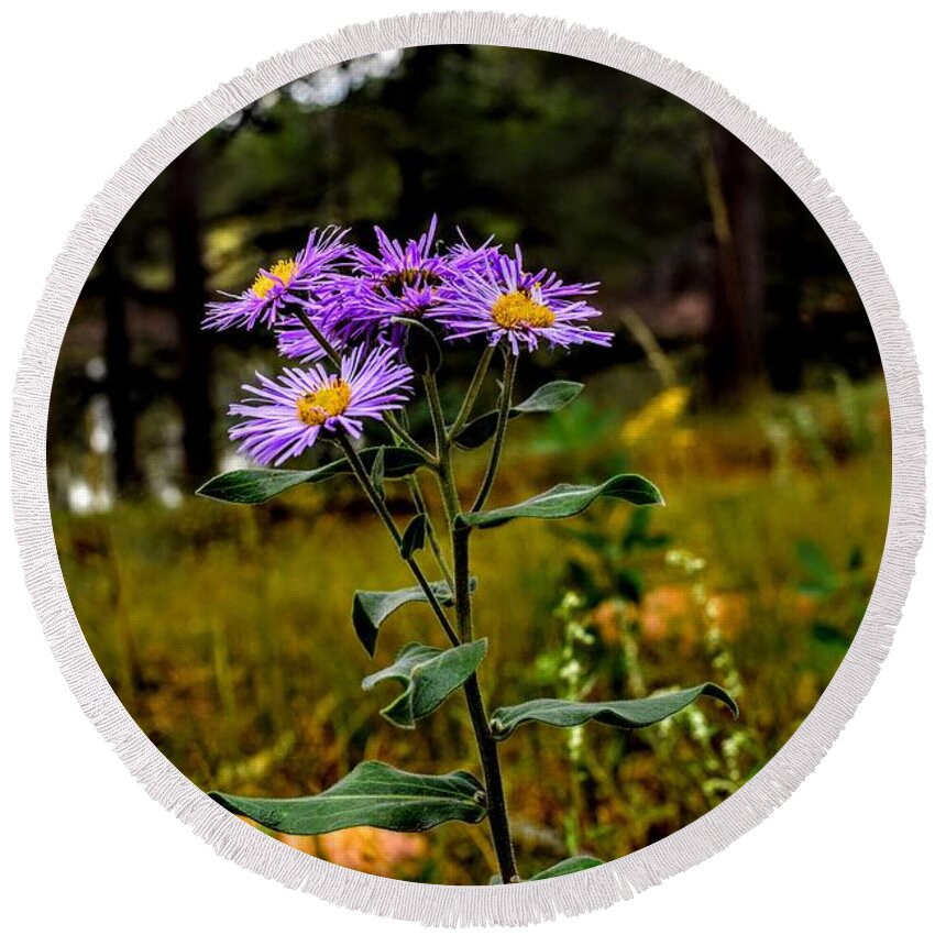 Purple Flowers Round Beach Towel featuring the photograph Before the Rain by Michael Brungardt