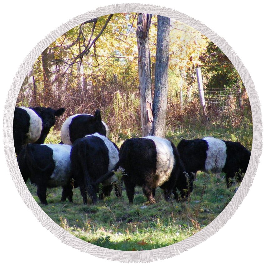 Landscape Round Beach Towel featuring the photograph Belties by Doug Mills