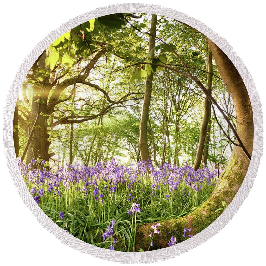 Forest Round Beach Towel featuring the photograph Bent tree in bluebell forest by Simon Bratt