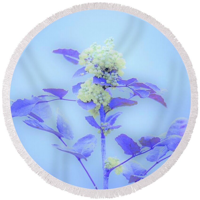 Floral Round Beach Towel featuring the photograph Berries on blue by Merle Grenz