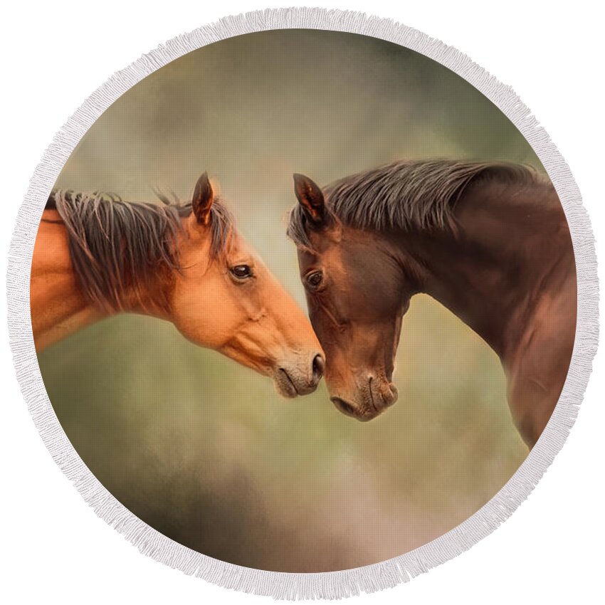 Horse Round Beach Towel featuring the photograph Best Friends - Two Horses by Michelle Wrighton