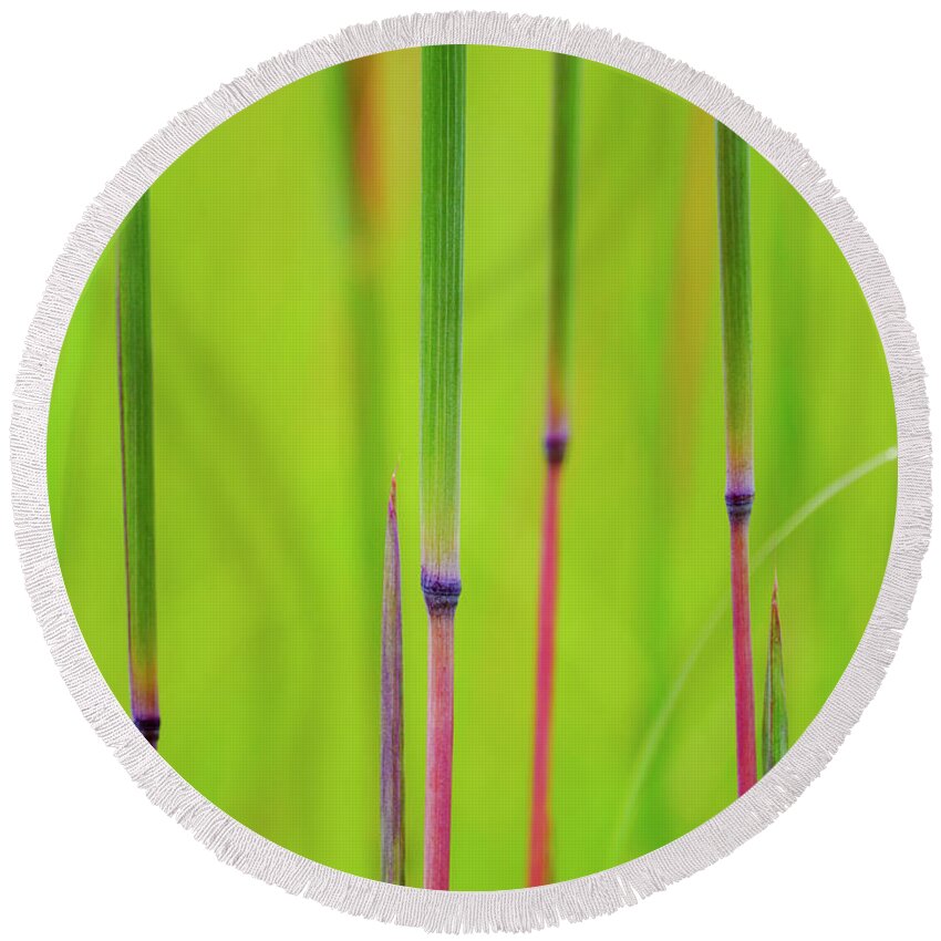 Andropogon Gerardii Round Beach Towel featuring the photograph Big Blue by Todd Bannor