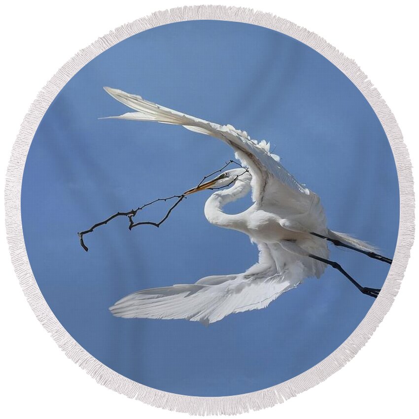 Great Egret Round Beach Towel featuring the photograph Big Branch 2 by Fraida Gutovich