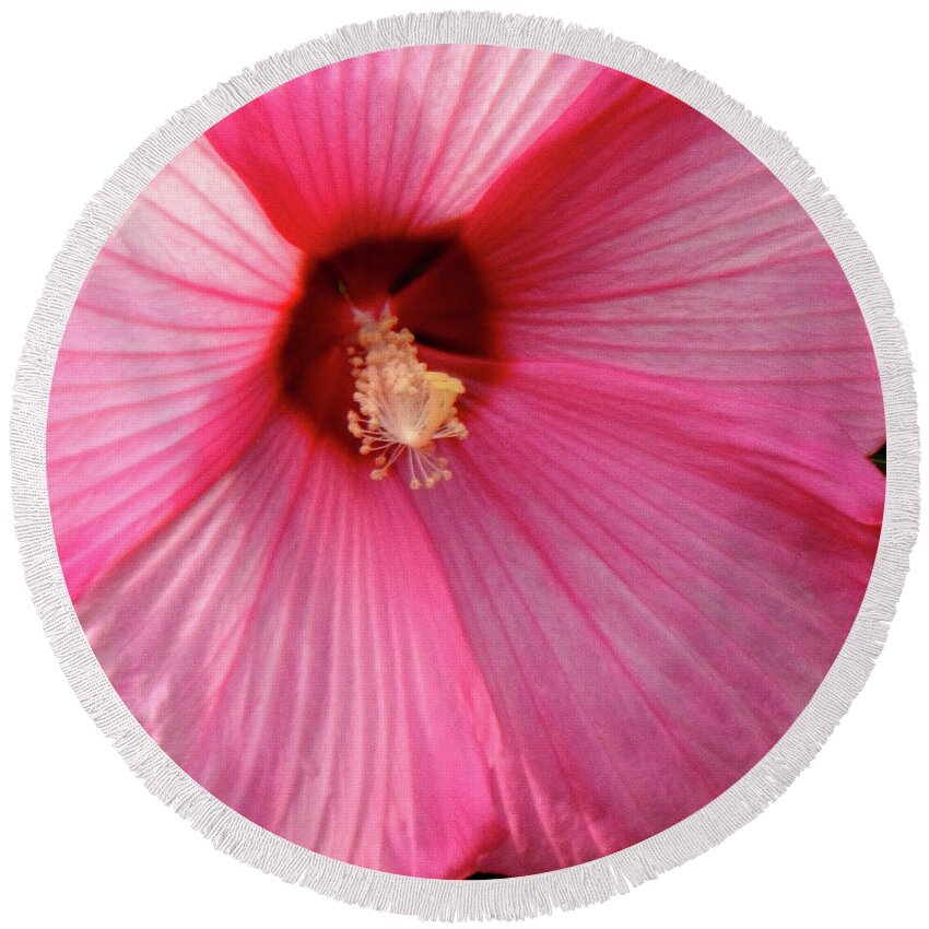 Hibiscus Round Beach Towel featuring the photograph Big Pink Love by Wild Thing
