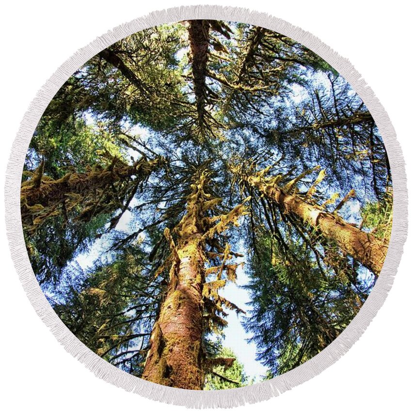Trunk Round Beach Towel featuring the photograph Big Trees in Olympic National Park by Kyle Lee