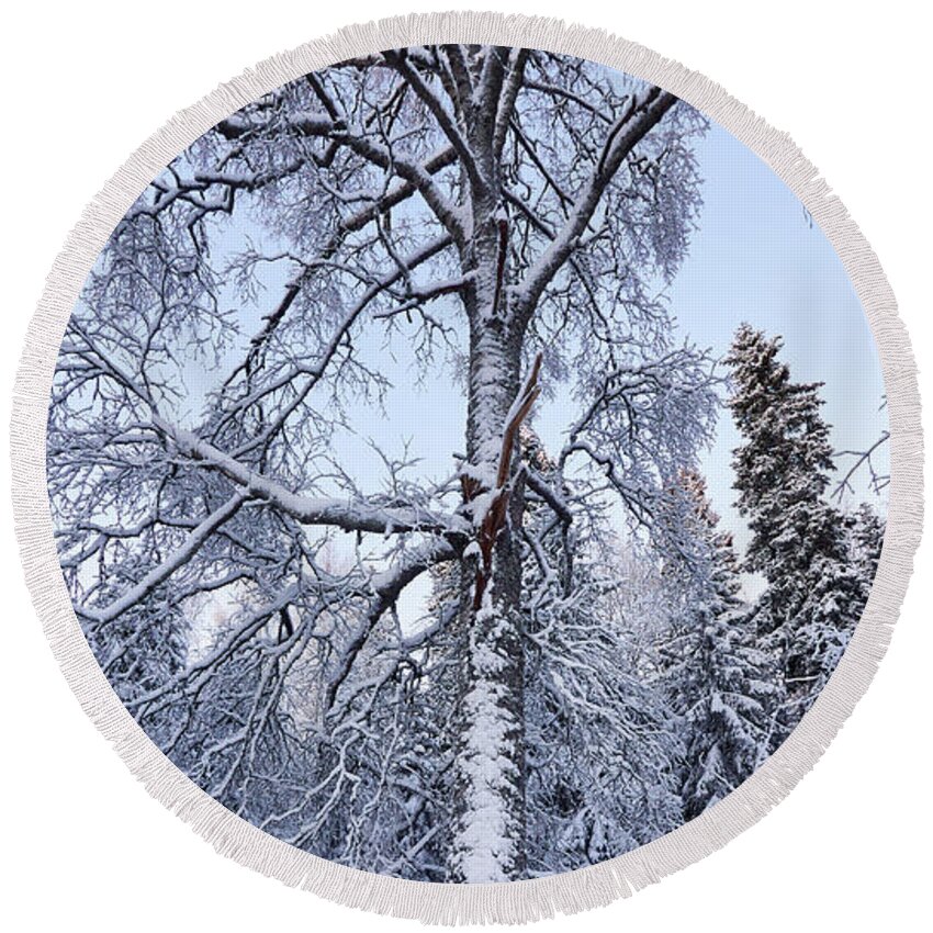 Finland Round Beach Towel featuring the photograph Birch in the winter dress by Jouko Lehto