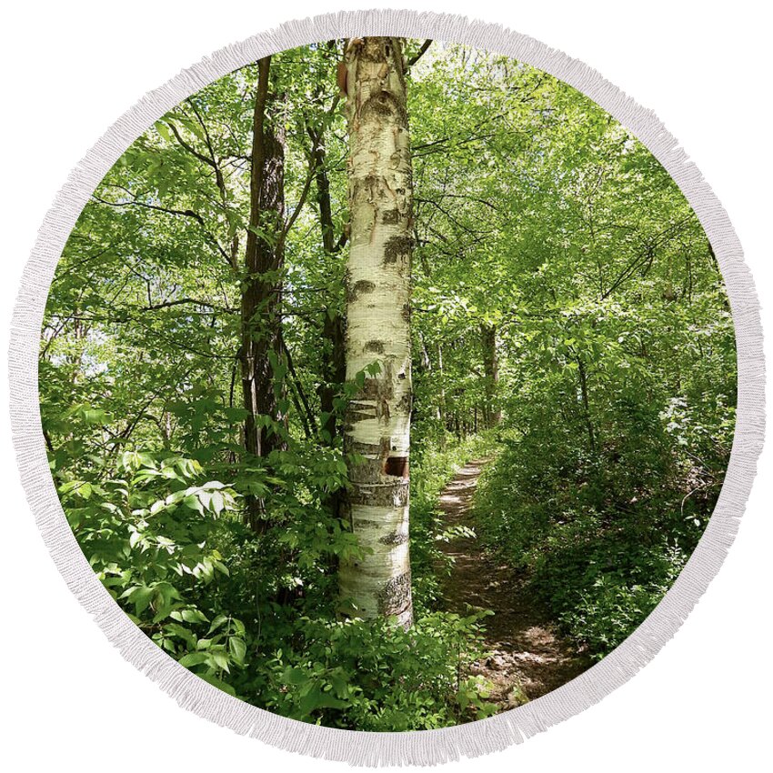 Photography Round Beach Towel featuring the photograph Birch Tree Hiking Trail by Phil Perkins