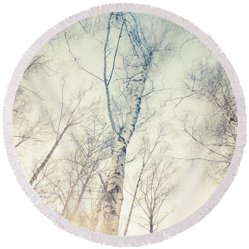 Tree Round Beach Towel featuring the photograph Birch Trees 4 by Dorit Fuhg