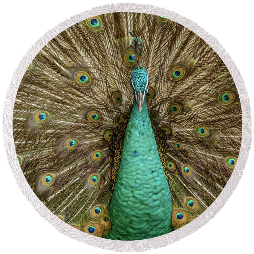 Bird Round Beach Towel featuring the photograph Peacock by Werner Padarin