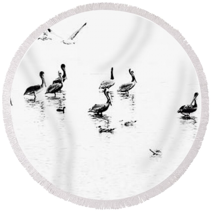 Nature Round Beach Towel featuring the photograph Bird Party by Norma Warden