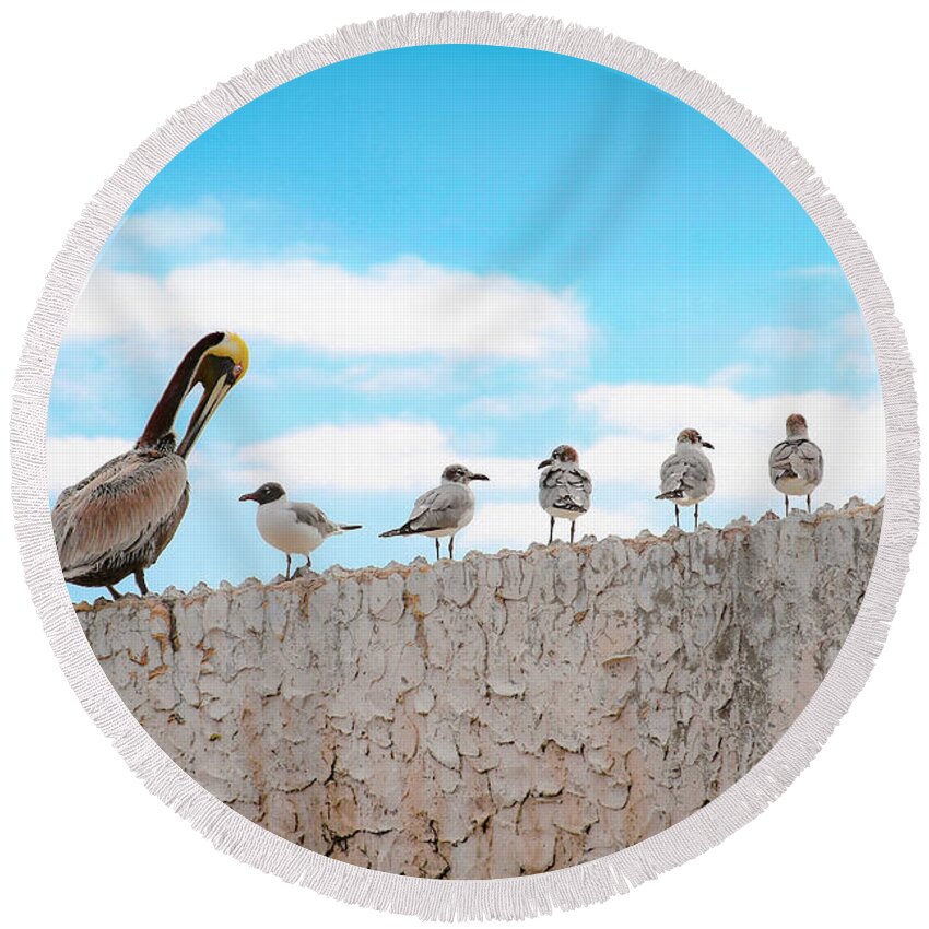 Bonnie Follett Round Beach Towel featuring the photograph Birds Catching Up on News by Bonnie Follett
