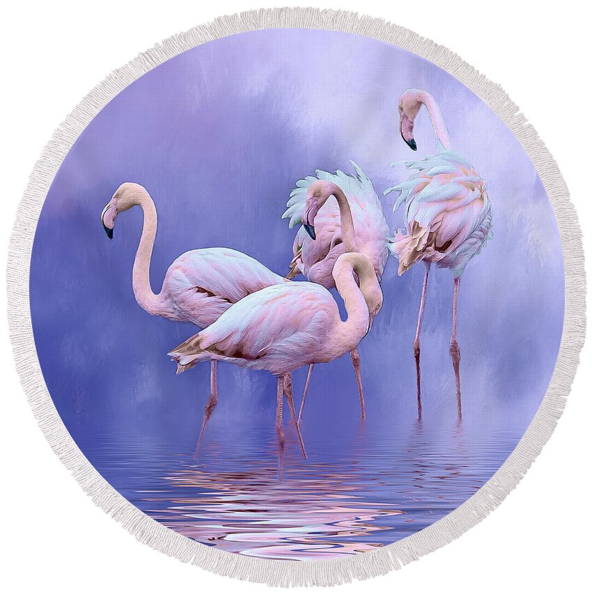 Flamingos Round Beach Towel featuring the photograph Birds of a feather by Brian Tarr