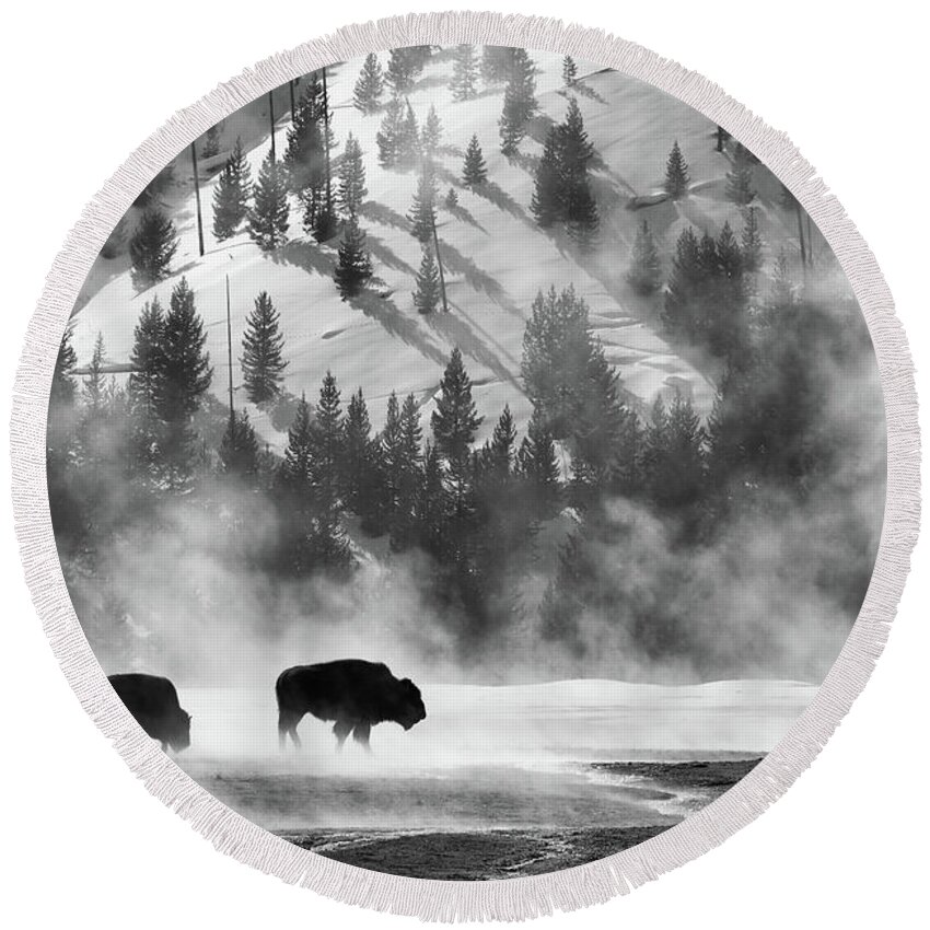 American Bison Round Beach Towel featuring the photograph Bison in Winter by Max Waugh