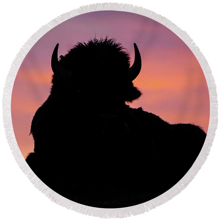 Sunrise Round Beach Towel featuring the photograph Bison Silhouette by Joan Wallner
