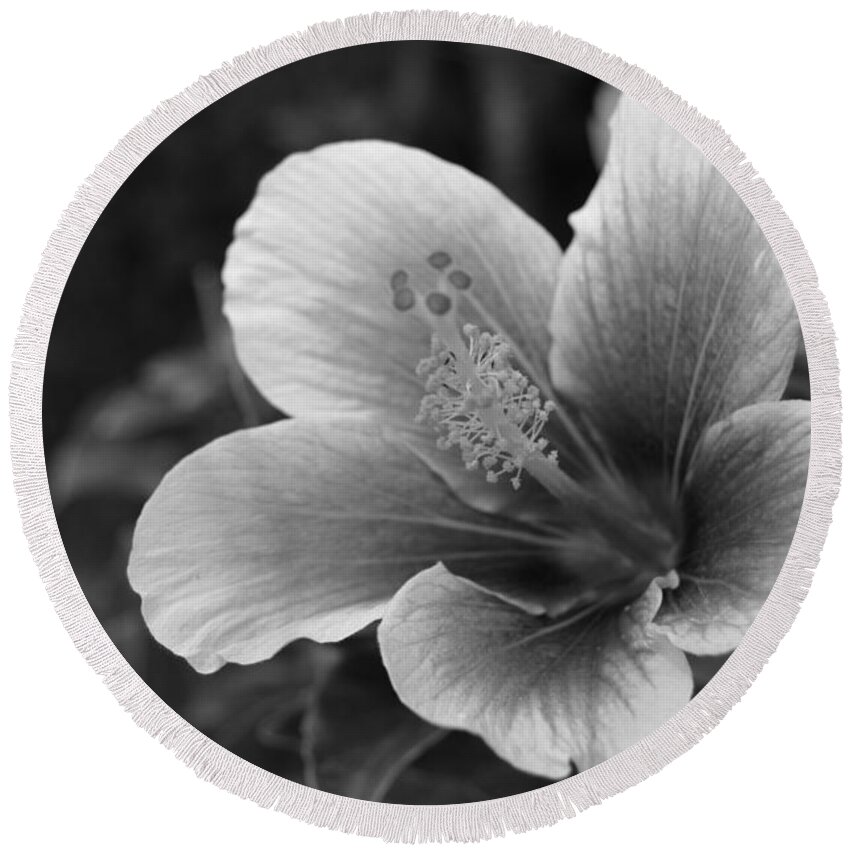 Flower Round Beach Towel featuring the photograph Black and White Hibiscus 1 by Amy Fose