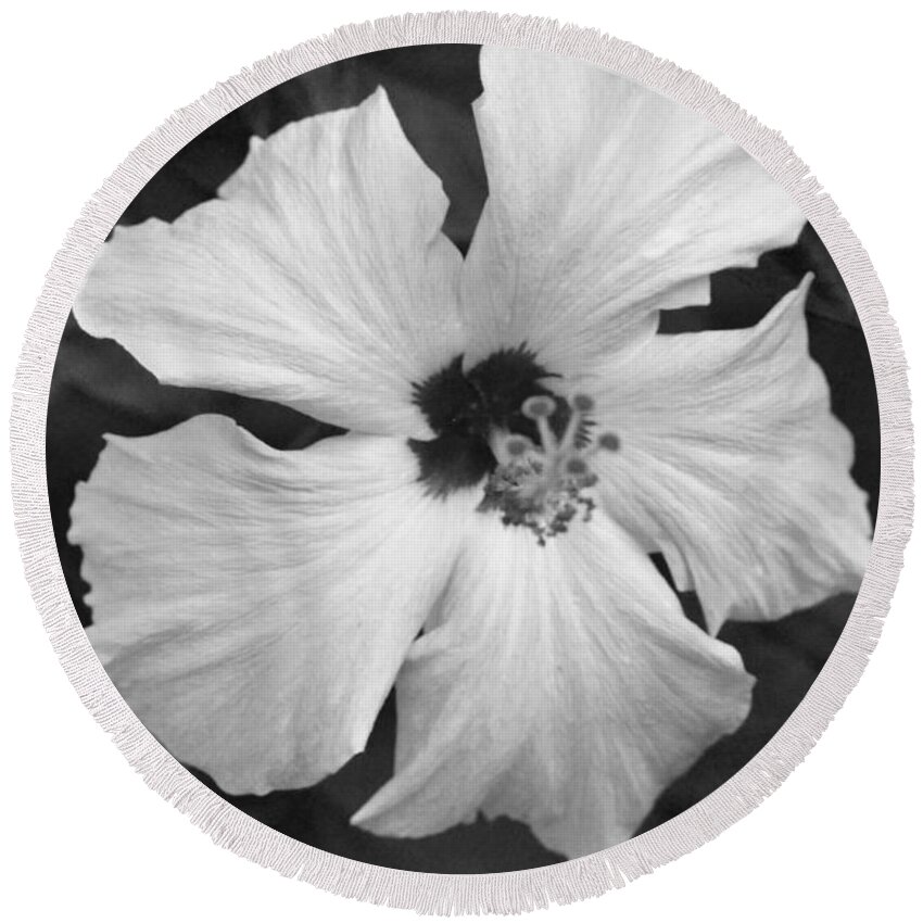 Flower Round Beach Towel featuring the photograph Black and White Hibiscus 2 by Amy Fose