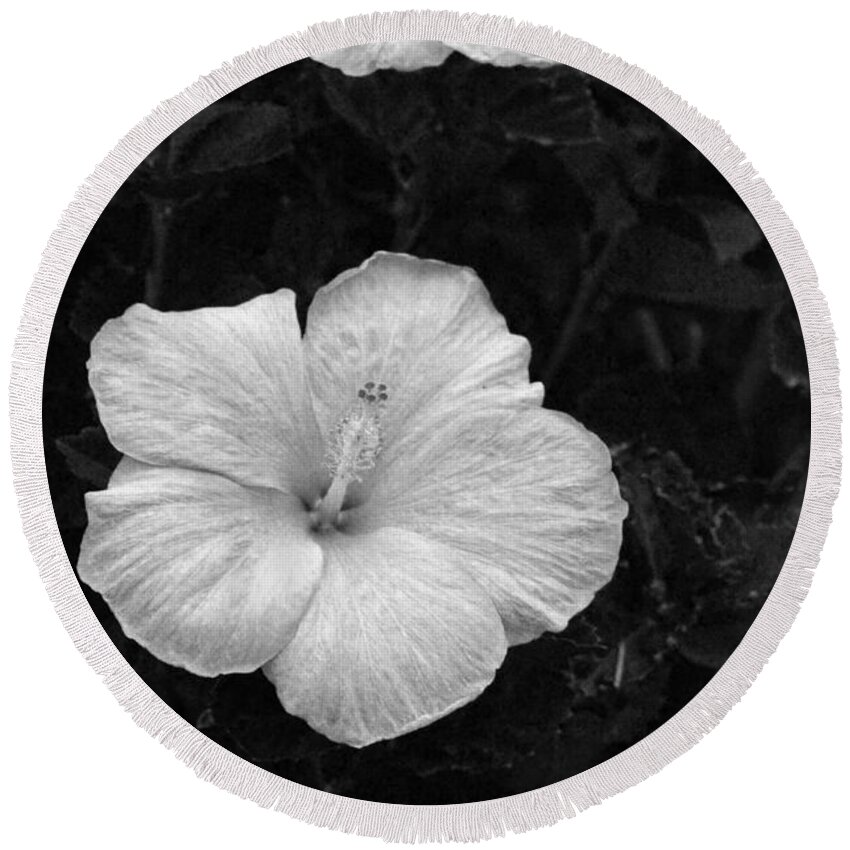 Flower Round Beach Towel featuring the photograph Black and White Hibiscus Duo by Amy Fose