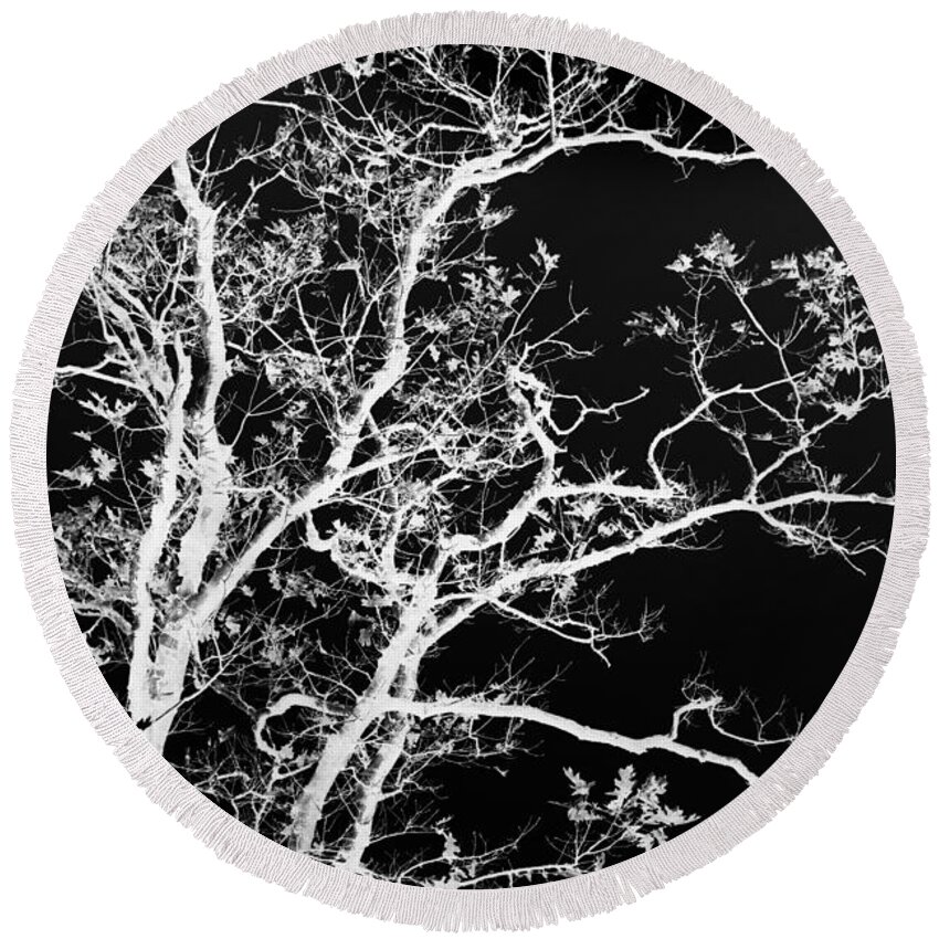 Black And White Round Beach Towel featuring the photograph Black and White Tree Art I by Christina Rollo