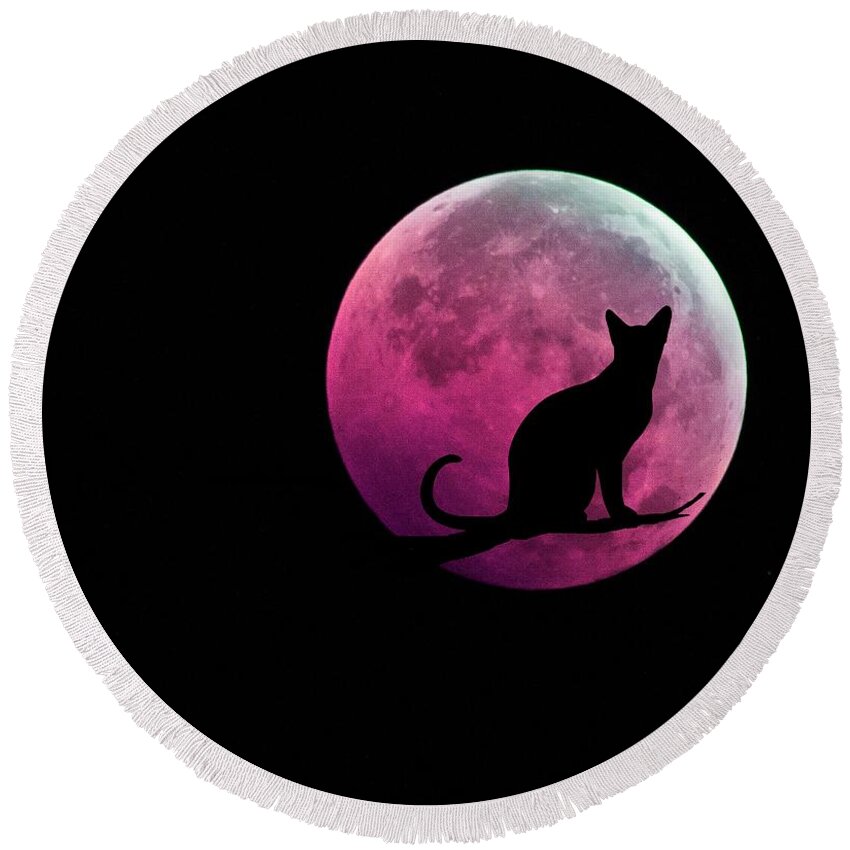 Full Moon Round Beach Towel featuring the digital art Black Cat and Pink Full Moon by Marianna Mills