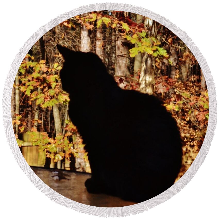 Cat Round Beach Towel featuring the photograph Black Cat by Eileen Brymer